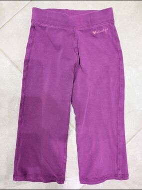 5/$20 OshKosh B'gosh Purple Wide Leg Leggings –  24M